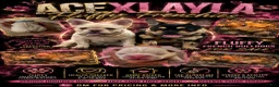 French Bulldog dogs for sale: French Bulldog 1 Aj - Ad 11