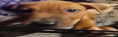 Speedy