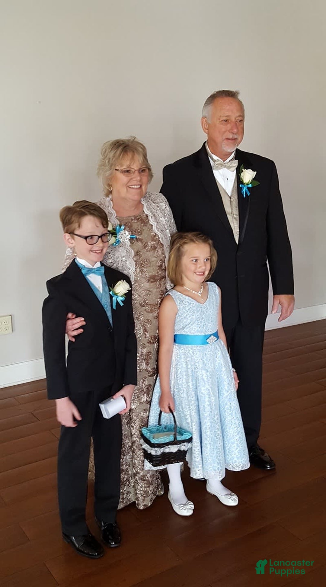 Gallery Image {{count}}