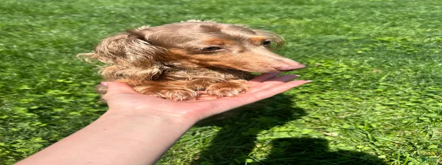 Millie
