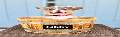 Libby