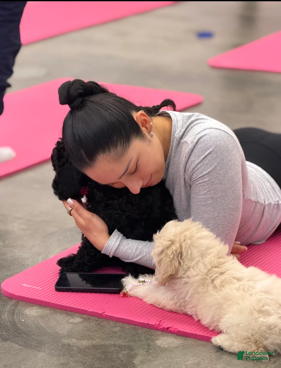 Gallery Image {{count}}