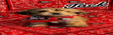 Jack