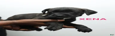 Xena