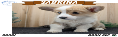 Sabrina