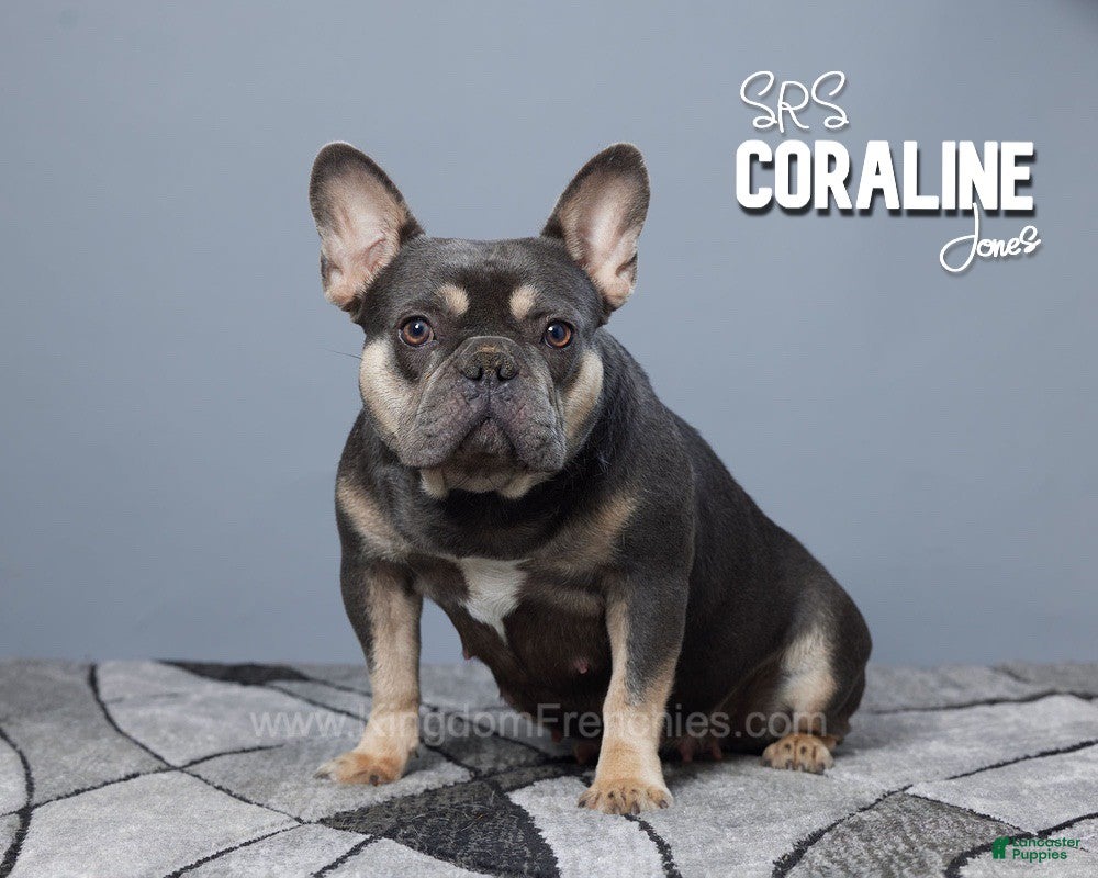 Coraline