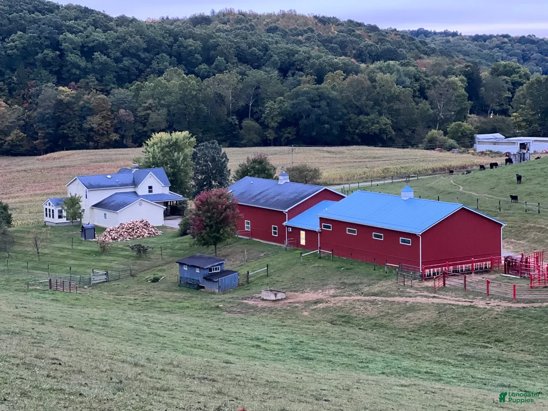 Gallery Image {{count}}