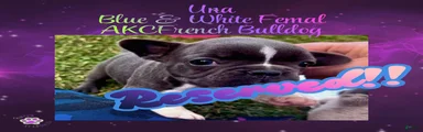 Una, Female