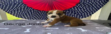 Male #2/ George Jones
