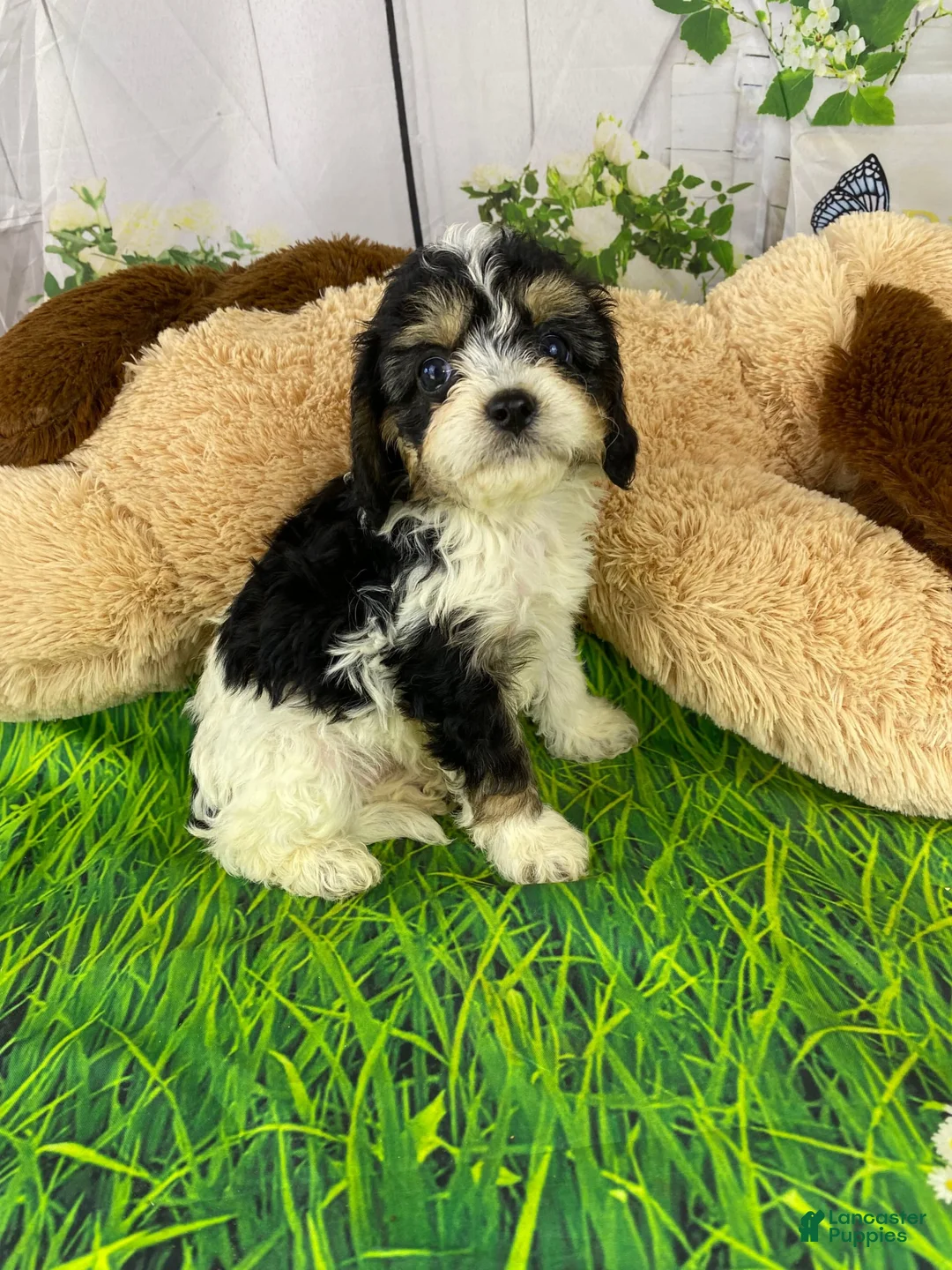 Gallery Image {{count}}