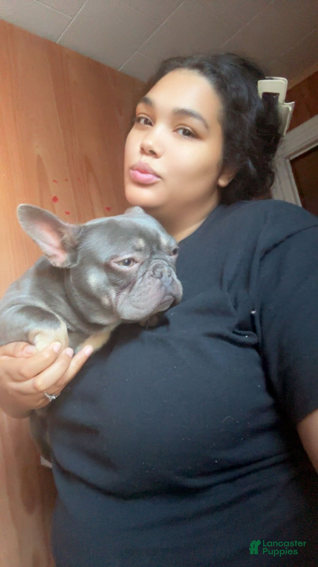 Gallery Image {{count}}