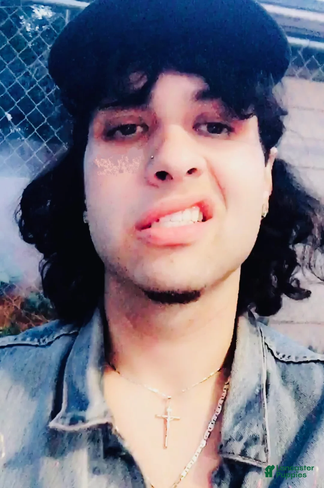 Gallery Image {{count}}