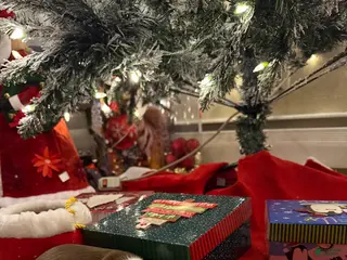 Chihuahua dogs Chihuahua Puppy 1 - Ad 27