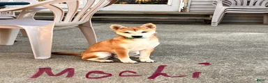Mochi