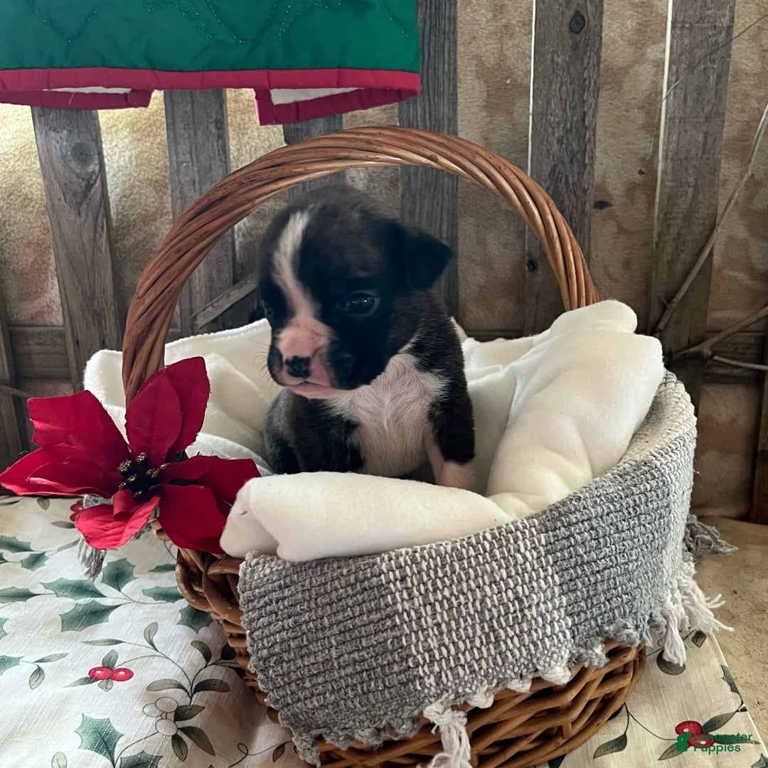 Gallery Image {{count}}