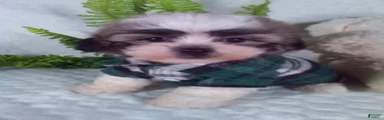  Chewy