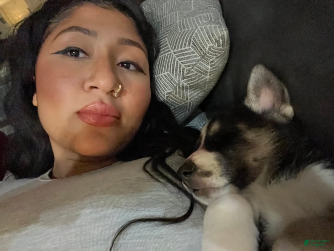 Gallery Image {{count}}