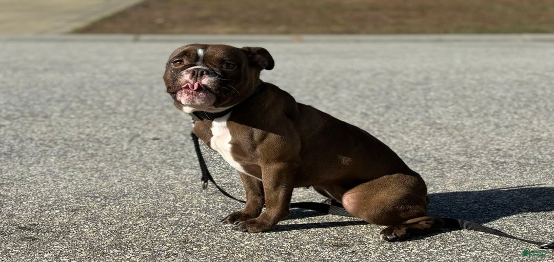 Gallery Image {{count}}