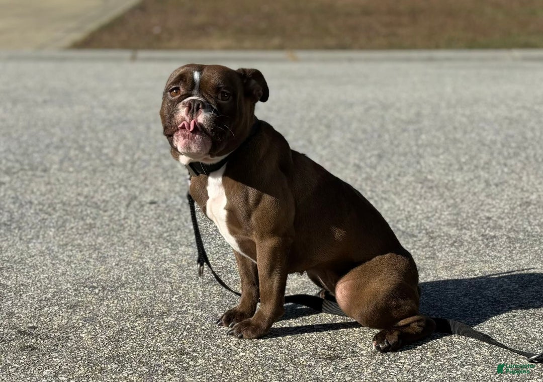 Gallery Image {{count}}