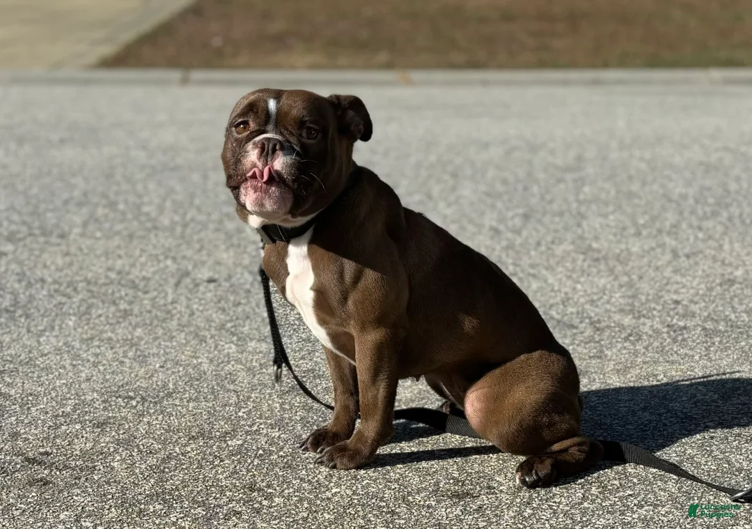 Gallery Image {{count}}