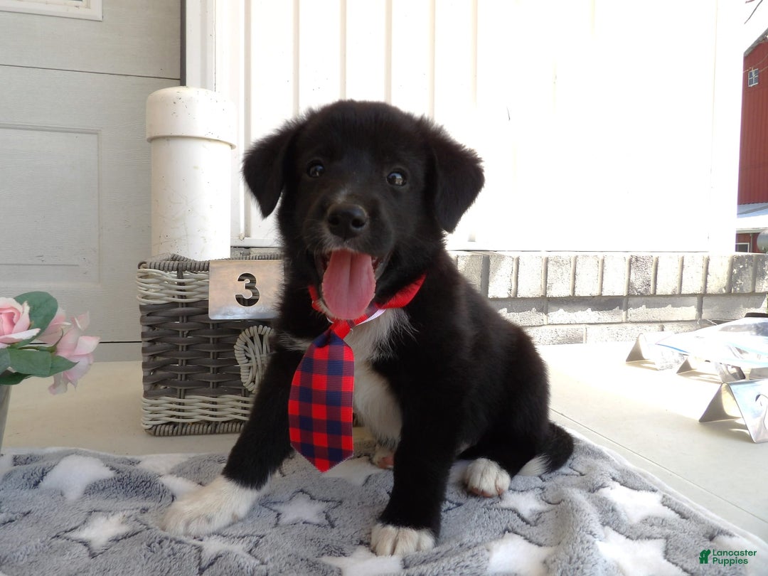 Gallery Image {{count}}