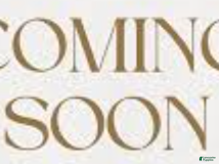 Yorkshire Terrier dogs Yorkshire Terrier Puppy 2 - Ad 6