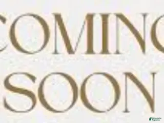 Yorkshire Terrier dogs Yorkshire Terrier Puppy 2 - Ad 23