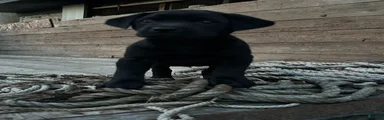 Carbon