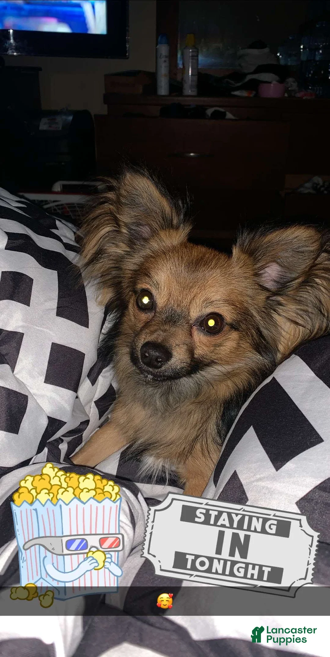 Gallery Image {{count}}