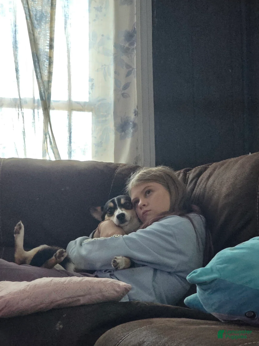 Gallery Image {{count}}