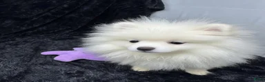 Casper