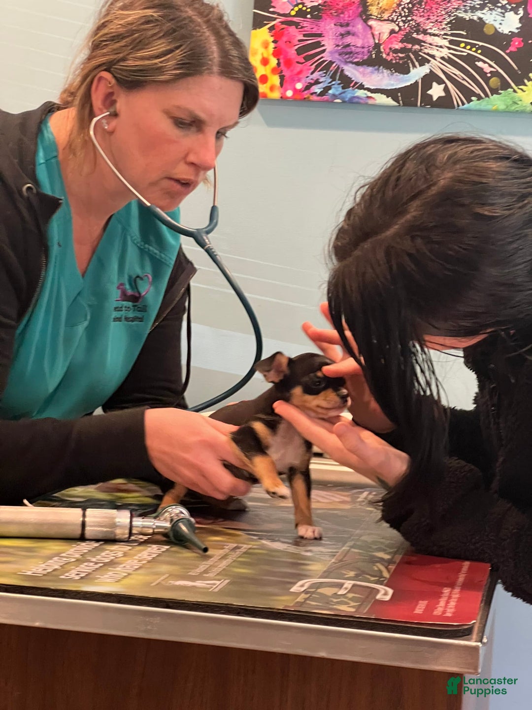 Gallery Image {{count}}