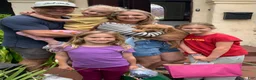 Golden Retriever dogs for sale: Pink CKC/DNA HLTH Tested - Ad 10