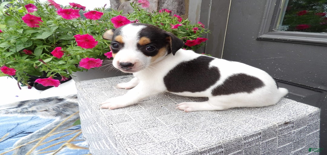 Gallery Image {{count}}