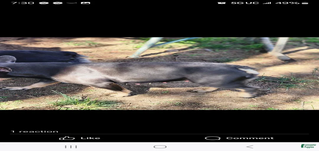 Gallery Image {{count}}