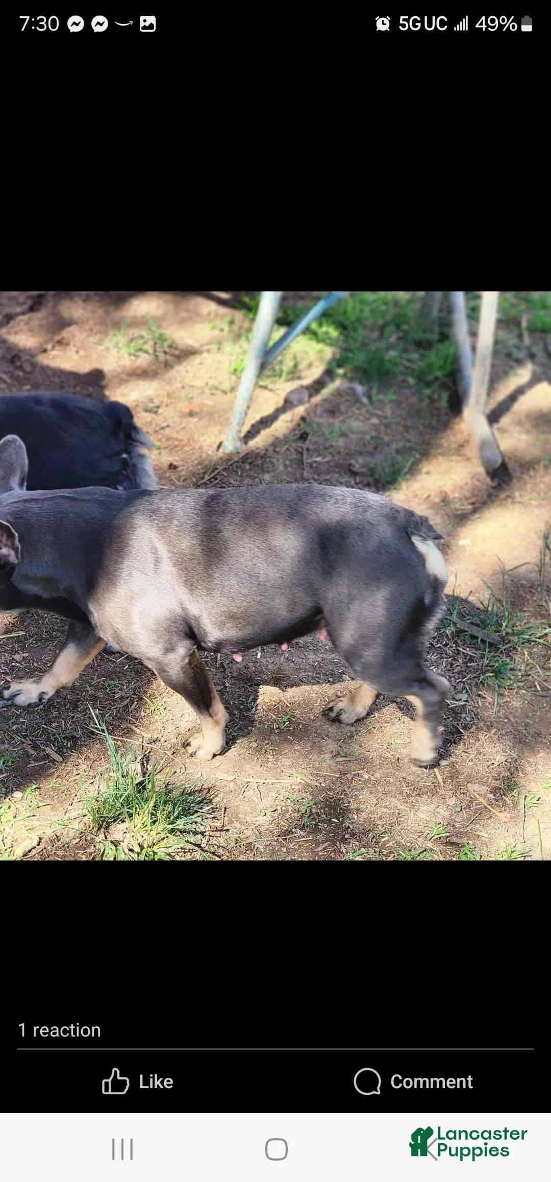 Gallery Image {{count}}