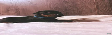 Jett