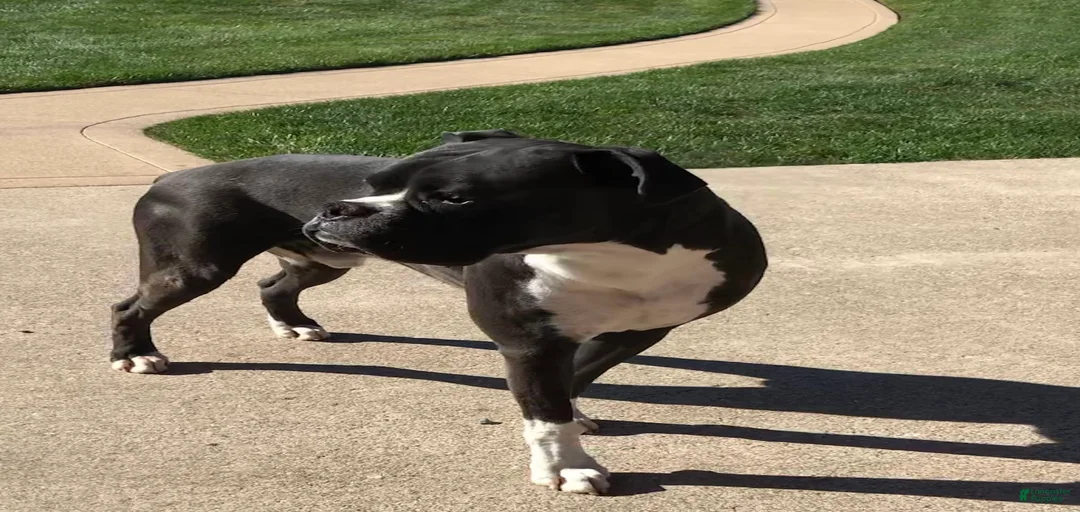 Gallery Image {{count}}