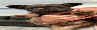 Six 