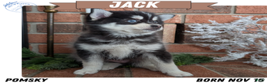 Jack
