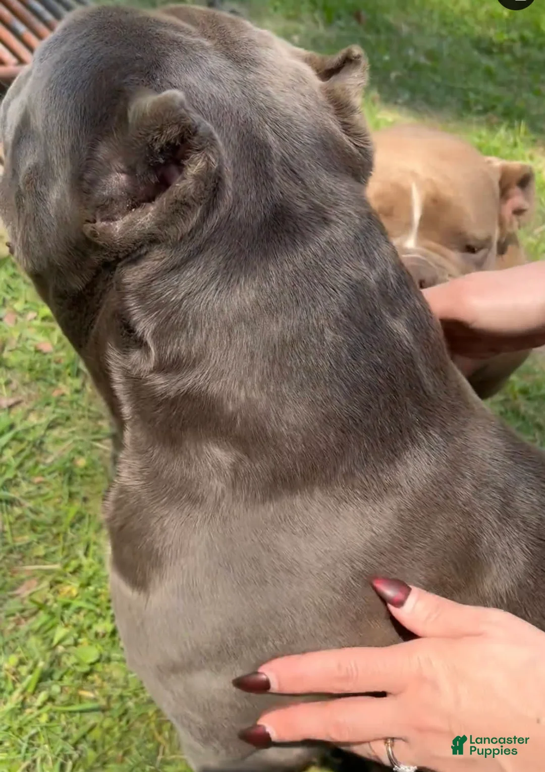 Gallery Image {{count}}