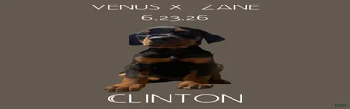Clinton