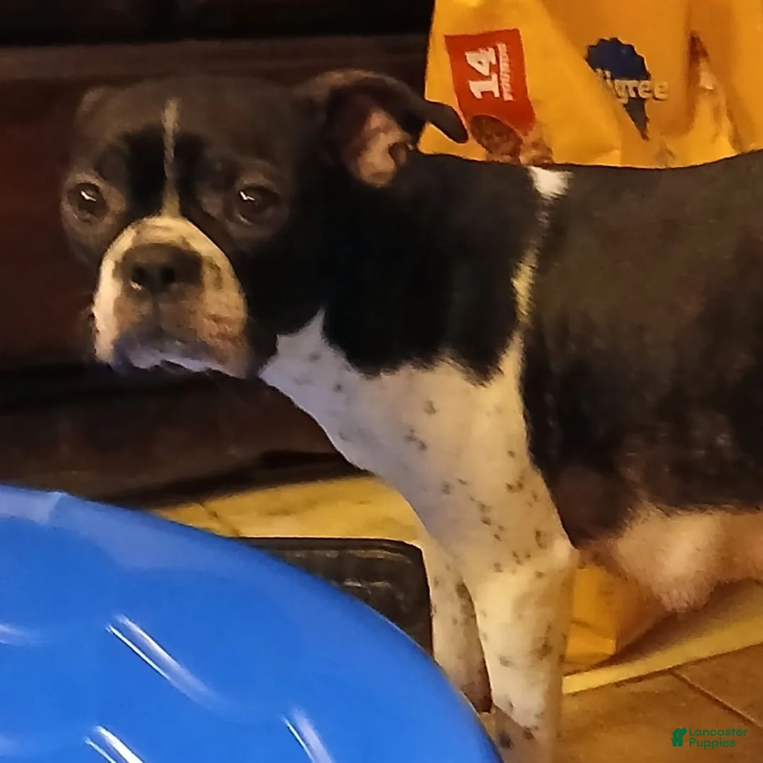 Gallery Image {{count}}