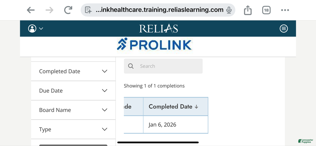 Mixed Breed dogs for sale: Fareed - Ad 3