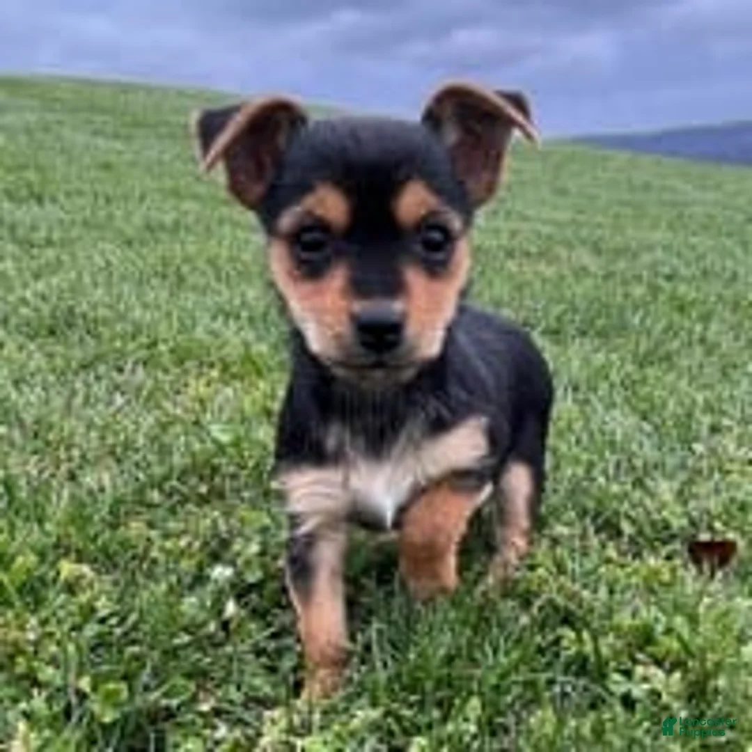 Gallery Image {{count}}