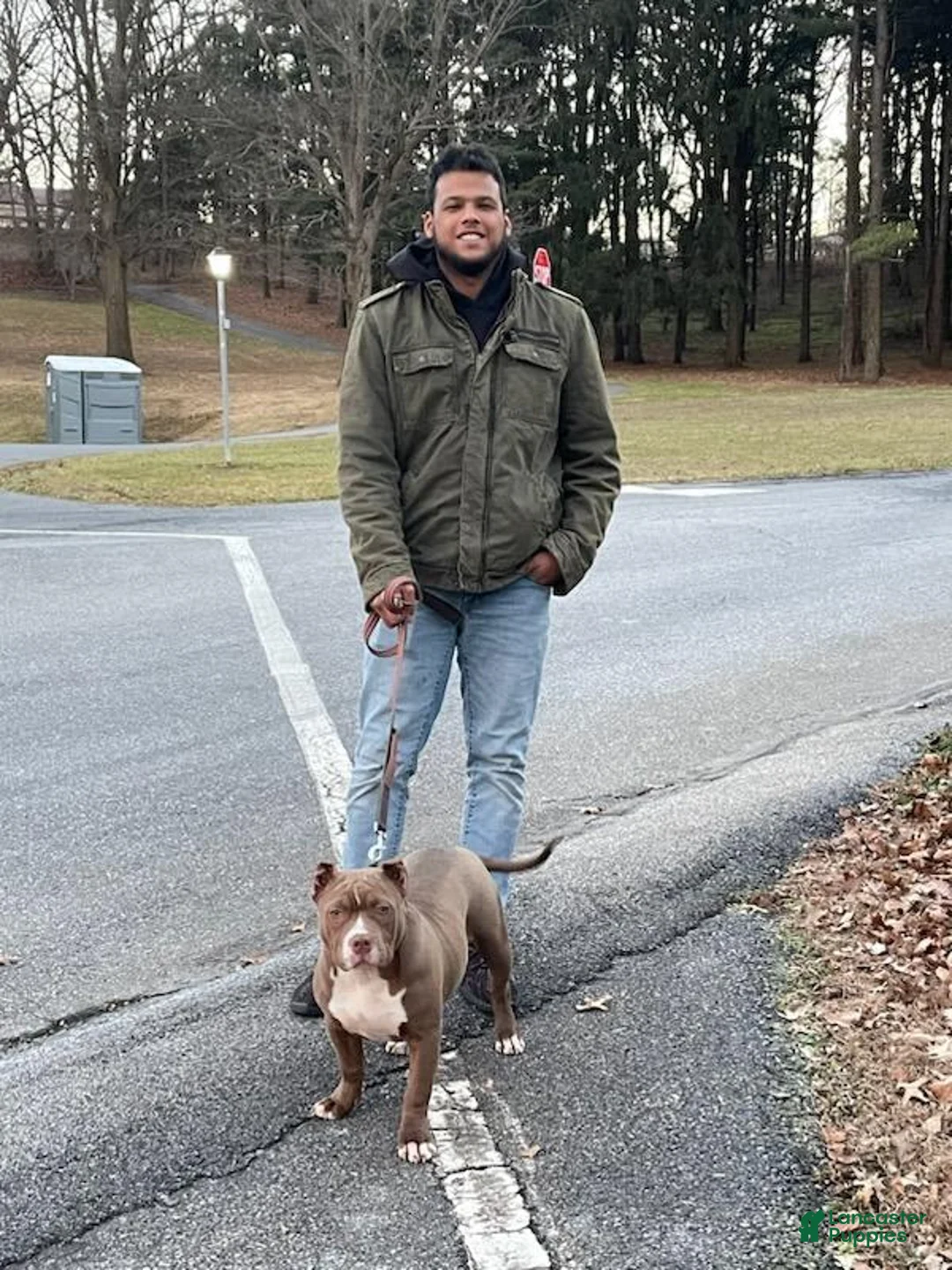 Gallery Image {{count}}