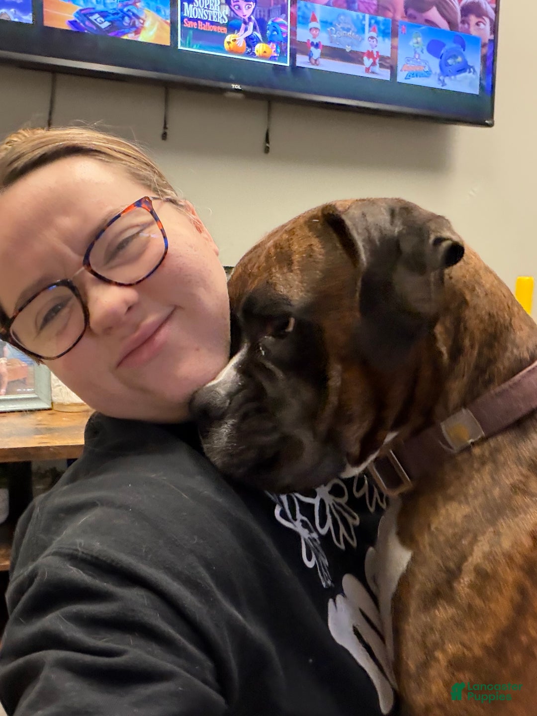 Gallery Image {{count}}