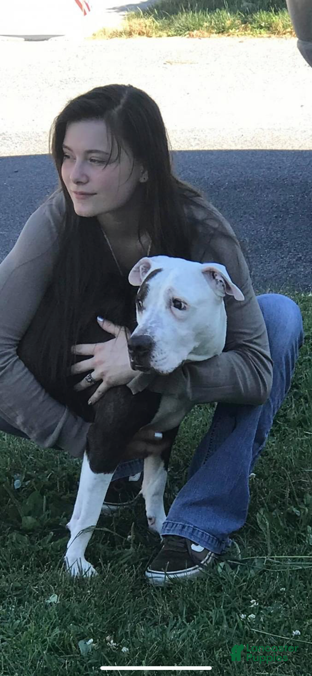 Gallery Image {{count}}