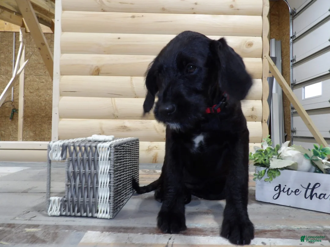 Gallery Image {{count}}