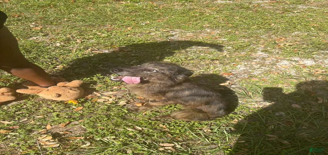 Gallery Image {{count}}